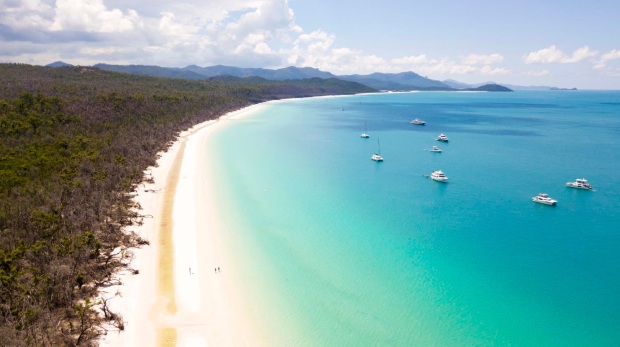 Take advantage of all whitehaven beach has to offer on this tour from airlie beach. The Best Whitehaven Beach Tour With Cruise Whitsundays Explore Shaw